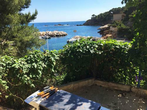 Cabanon Sur L Eau