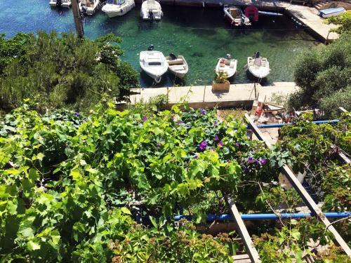 Cabanon Sur L Eau