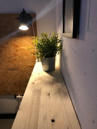 Agroturismo 87029house