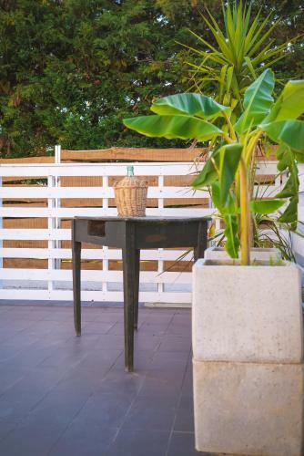 Agroturismo 87029house