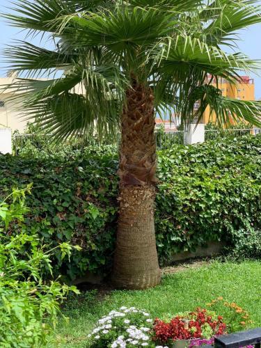 Calle Basti�n, 2 Apartamento 3