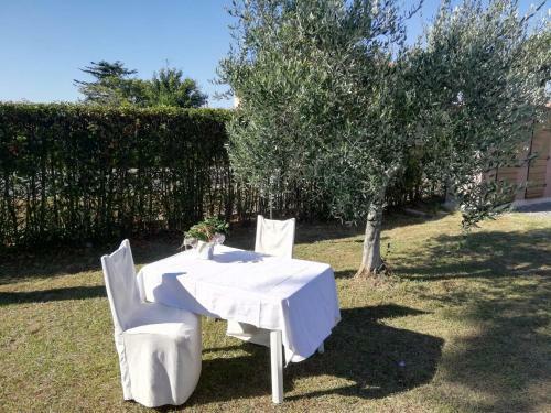 Apartamento L'aia Degli Olivi