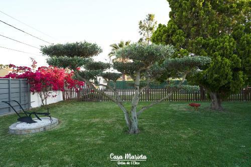 La Casa De Marieta "b"