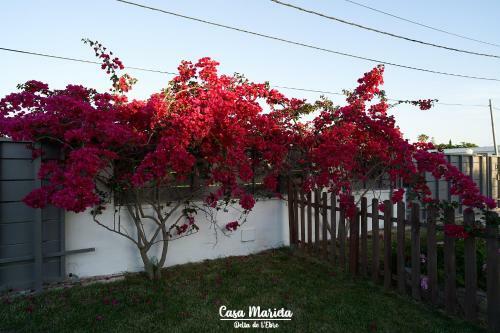 La Casa De Marieta "b"