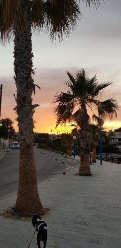 Apartamento Bungalow Sea View