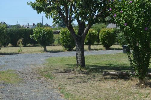 G�te Dans Le Vignoble De Bourgueil