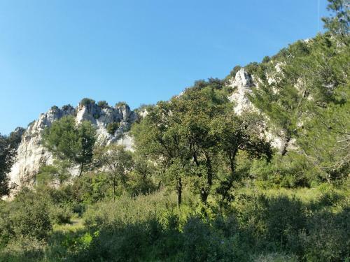 Domaine L'orgali�re