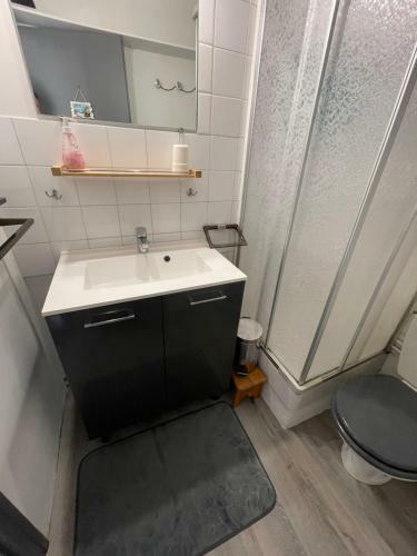 Apartamento Studio Cabine Front De Mer