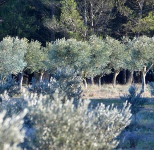 Hostal Cabanon Sainte Victoire