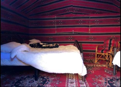 Wadirum Life Camp