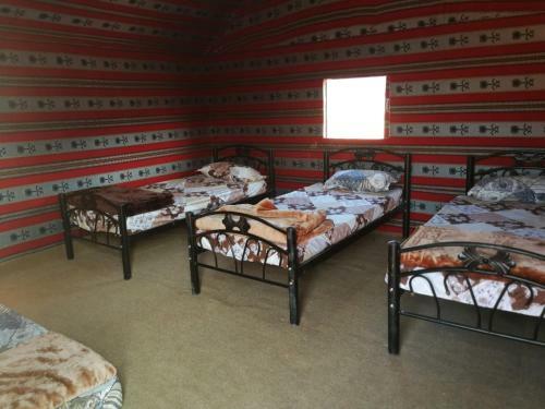 Wadirum Life Camp
