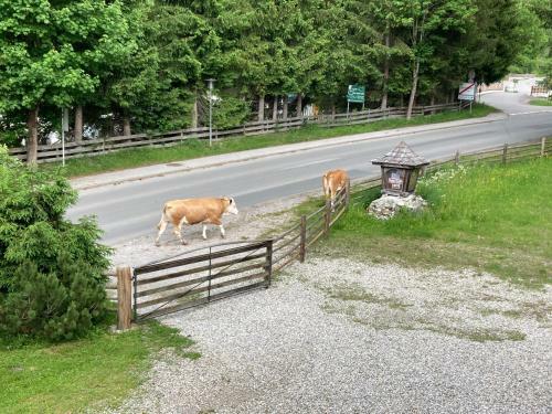Hostal Haus Am M�hlenweg