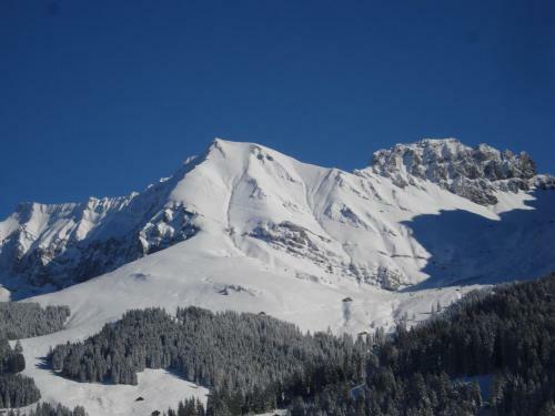 Apartamentos Chalet Allmegrat