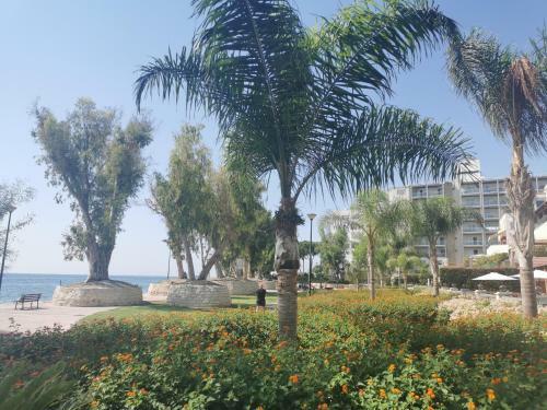 Lovely Seafront Suites On 1st Line With Sea&mountain View In Green Peaceful Galatexcomplex