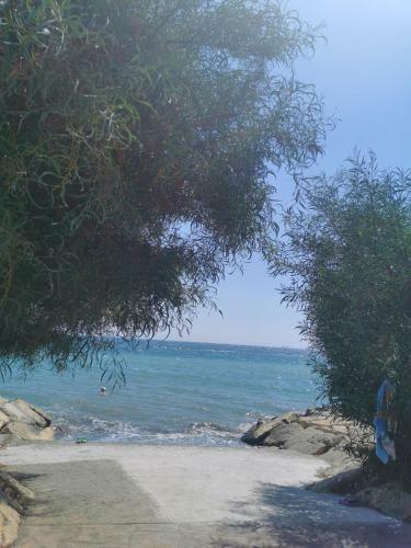 Lovely Seafront Suites On 1st Line With Sea&mountain View In Green Peaceful Galatexcomplex
