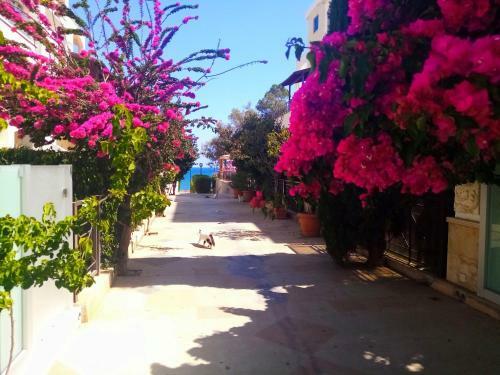 Lovely Seafront Suites On 1st Line With Sea&mountain View In Green Peaceful Galatexcomplex