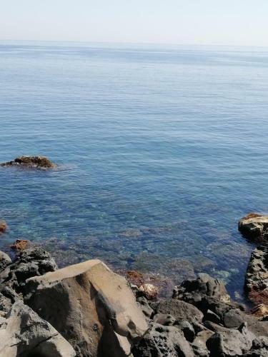 Apartamento Terrace On The Sea