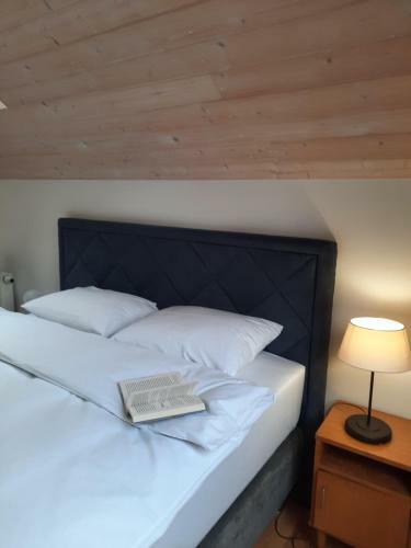 Lake & Library Hotel