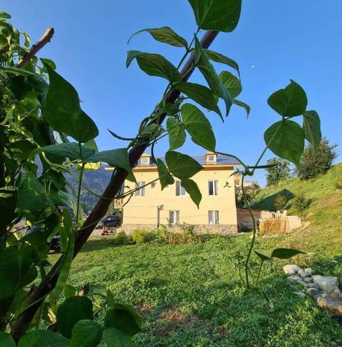 Tetne Qor Guesthouse