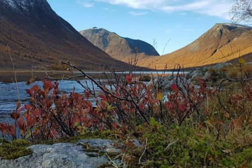 Apartamento I Hjerte Av �ndalsnes Sentrum