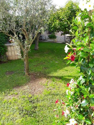 Hostal B&B Il Bocciolo 2