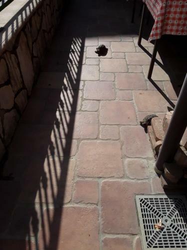 Hostal B&B Il Bocciolo 2