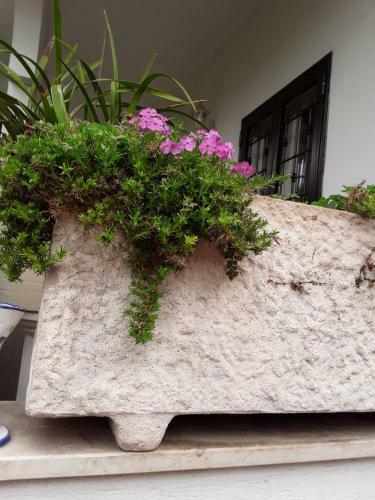 Hostal B&B Il Bocciolo 2