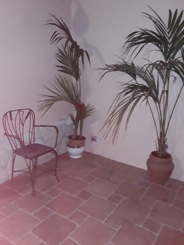 Hostal B&B Il Bocciolo 2