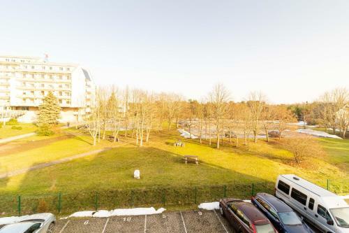 Sunday Morning Apartment, By Cohost