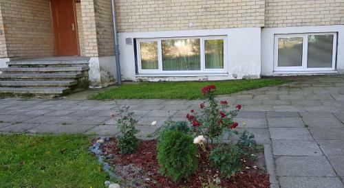 Antano Apartamentai Nr. 3