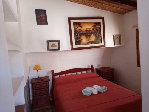 Hotel Cactus Hostel