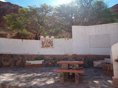 Hotel Cactus Hostel