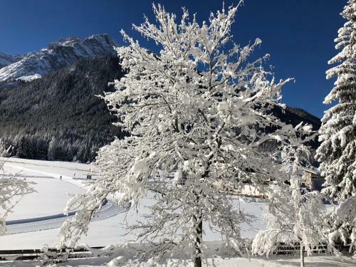 Hotel Tre Cime Sesto - Sexten