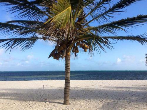 Gibo's Apartments Watamu