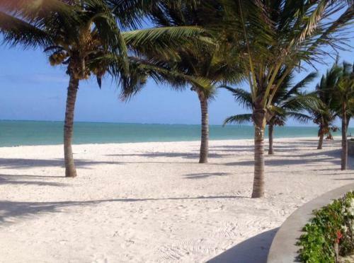 Gibo's Apartments Watamu