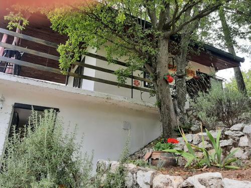 Apartamento Vila Eva