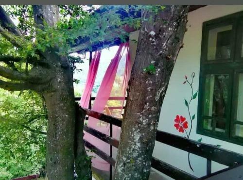 Apartamento Vila Eva