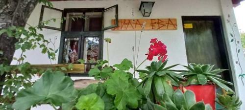 Apartamento Vila Eva