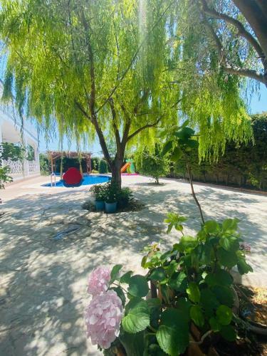 Luxurious Villa With Private Pool And Central Location In Fethiye