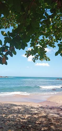 Bed & Breakfast Moon River Surf Beach Cabana