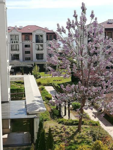 Hotel ?????? ??? - Green Life Beach Resort