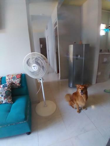 Apartamento Ricaurte - Kassanja