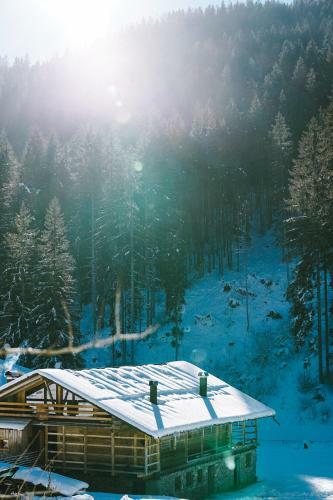 Apartamento L�rchenwirt Dolomites
