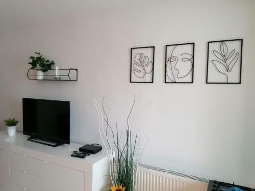 Apartamento Nexus Studio Deluxe