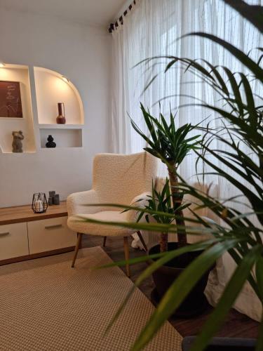 Apartament Mara