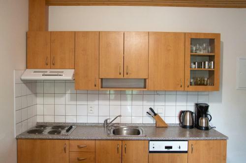 Apartm�n Ve Skiresortu Poustevn�k - Pec Pod Sn??kou