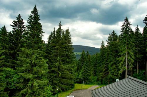 Apartm�n Ve Skiresortu Poustevn�k - Pec Pod Sn??kou