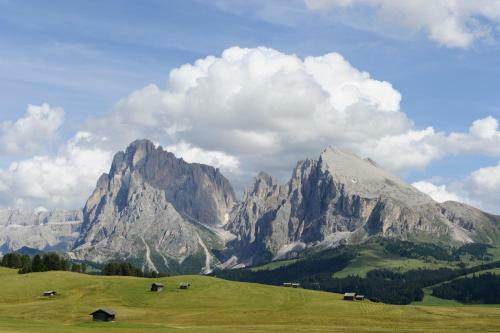 Agroturismo Apartments Schererhof