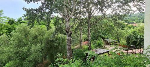 Hostal Pensiunea Lucica