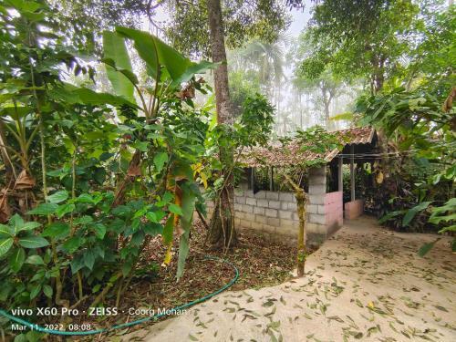 Agroturismo Coorg Rain Drop Farm Stay
